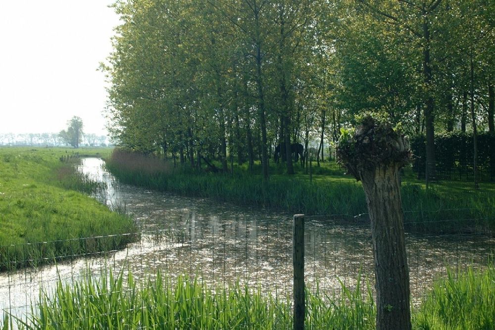 B&B Pronkenburg Bruges Exterior photo